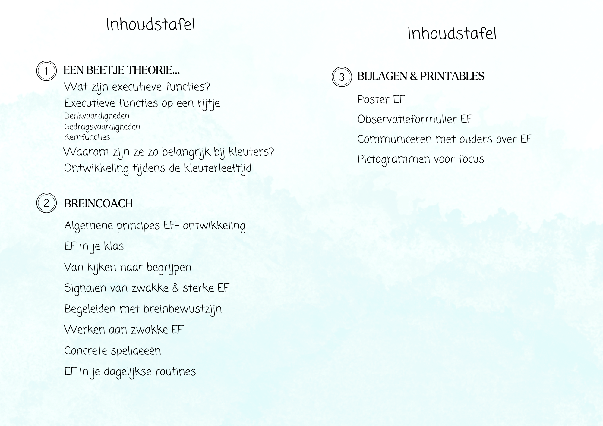 Executieve functies - kleine breinen, grote vaardigheden - Afbeelding 2